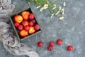 Bouquet of wild flowers chamomile with fruits of nectarines and plums in a wooden box Royalty Free Stock Photo