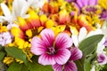 Bouquet of wild flowers