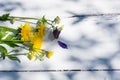 Bouquet of wild flowers dandelions yellow aquilegia purple on a wooden white table Royalty Free Stock Photo