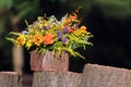 Bouquet of wild flowers and fern leaves. Royalty Free Stock Photo