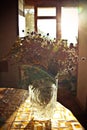 Bouquet of Wild flowers in a glass vase are on the table. the sun`s rays hit the flowers through the window Royalty Free Stock Photo