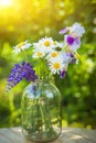 Bouquet of wild flowers in the light of the setting sun in a glass vase Royalty Free Stock Photo