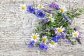 Bouquet of wild flowers on the old wooden background Royalty Free Stock Photo