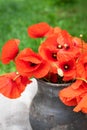 Bouquet of wild flowers of red poppies in an old clay jug. Summer photo, rustic style, close-up Royalty Free Stock Photo