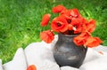 Bouquet of wild flowers of red poppies in an old clay jug. Summer photo, rustic style, close-up Royalty Free Stock Photo