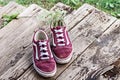 A bouquet of wild flowers in sneakers on the wooden porch of a house in the village