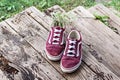 A bouquet of wild flowers in sneakers on the wooden porch of a house in the village