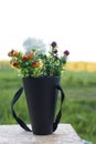 Bouquet of wild flowers at sunset in the field. Royalty Free Stock Photo