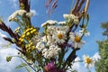 Bouquet of Wild flowers tansy, chamomile, grass, yarrow