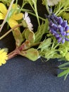 A bouquet of wild flowers yellow, white, purple, blue on a gray-black background spring flowers Royalty Free Stock Photo