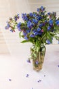 Bouquet of wild forested lungwort in glass vase on light background.