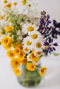 Colorful midsummer bunch of wildflowers. Bouquet of wild natural flowers, selective focus.