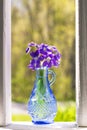 Bouquet of wild purple flowers in vase, blurry background. Sunny summer day. Royalty Free Stock Photo