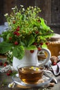 Bouquet of wild strawberry with herbal tea and honey Royalty Free Stock Photo