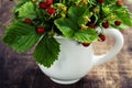 Bouquet of wild strawberry Royalty Free Stock Photo