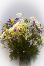 Bouquet Royalty Free Stock Photo