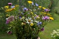 Bouquet of wild summer flowers in clay pot on terrace Royalty Free Stock Photo