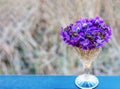 A bouquet of wild violets flowers in a vintage crystal glass close-up Royalty Free Stock Photo