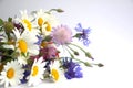 A bouquet of wild wildflowers is laying on a white background. Bouquet of daisies, cornflowers, poppy and clover