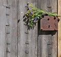 A bouquet of wild wildflowers lies on a rusty vintage lock of a Royalty Free Stock Photo