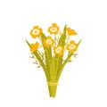 Bouquet of wild yellow flowers. Floral decorative composition isolated on white background. Vector illustration in flat style Royalty Free Stock Photo