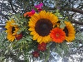 bouquet of wildflowers against tree