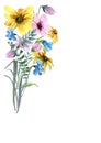 Bouquet of wildflowers of blue, pink and yellow color with green sprigs on a white background.