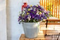 Bouquet of wildflowers in bucket on veranda home. Decor Autumn cozy terraces. Bunch Autumn flowers in vintage vase on table in gar Royalty Free Stock Photo