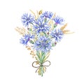 A bouquet of wildflowers of cornflowers and dried flowers