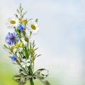 Beautiful vintage background with a bouquet of daisies and cornflowers and a place for text or photo