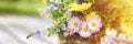 a bouquet of wildflowers of forget-me-nots, daisies and yellow dandelions in full bloom in a rusty rustic jar against a background Royalty Free Stock Photo