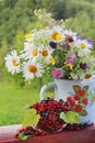 A bouquet of wildflowers and a glass bowl of red currant Royalty Free Stock Photo