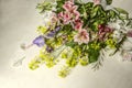 With delicate flowers of Alstroemeria and purple irises lie is at an angle on a light plywood