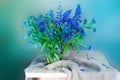 Bouquet of wildflowers isolated on a blue background Royalty Free Stock Photo