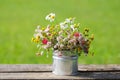 Bouquet of Wildflowers in a Metal Can