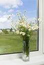 Bouquet of wildflowers on a plastic window