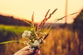 A bouquet of wildflowers that the girl keeps at sunset on a summer sunny day against a background of a field and a gradient sky Royalty Free Stock Photo