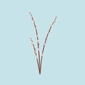 Bouquet of willow branches, springtime. Osier, palm tree, salley. Easter holiday, invitation card. Spring symbol.