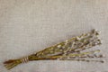 Bouquet of willow catkins on natural linen fabric.