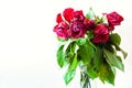 Bouquet of wilted red rose flowers with copyspace Royalty Free Stock Photo