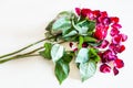 Bouquet of wilted rose flowers and fallen petals Royalty Free Stock Photo