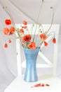 Bouquet of wilting scarlet poppies in a vase on a white chair Royalty Free Stock Photo