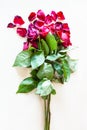 Bouquet of withered rose flowers and fallen petals Royalty Free Stock Photo