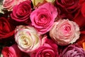 A Bouquet of wonderful different Roses
