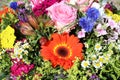 Bouquet of wonderful fresh Summer Flowers