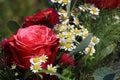 Bouquet of wonderful fresh Summer Flowers