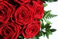 Bouquet of wonderful red Roses