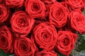 Bouquet of wonderful red Roses