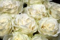 A Bouquet of wonderful white Roses