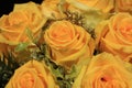 A Bouquet of wonderful yellow Roses